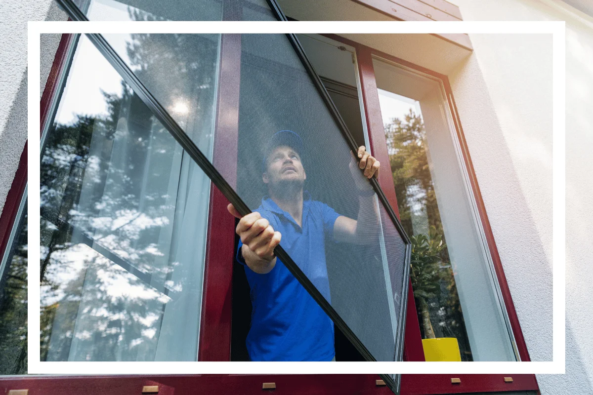 Window Screen Add-ons - Brightnest Transformations GA